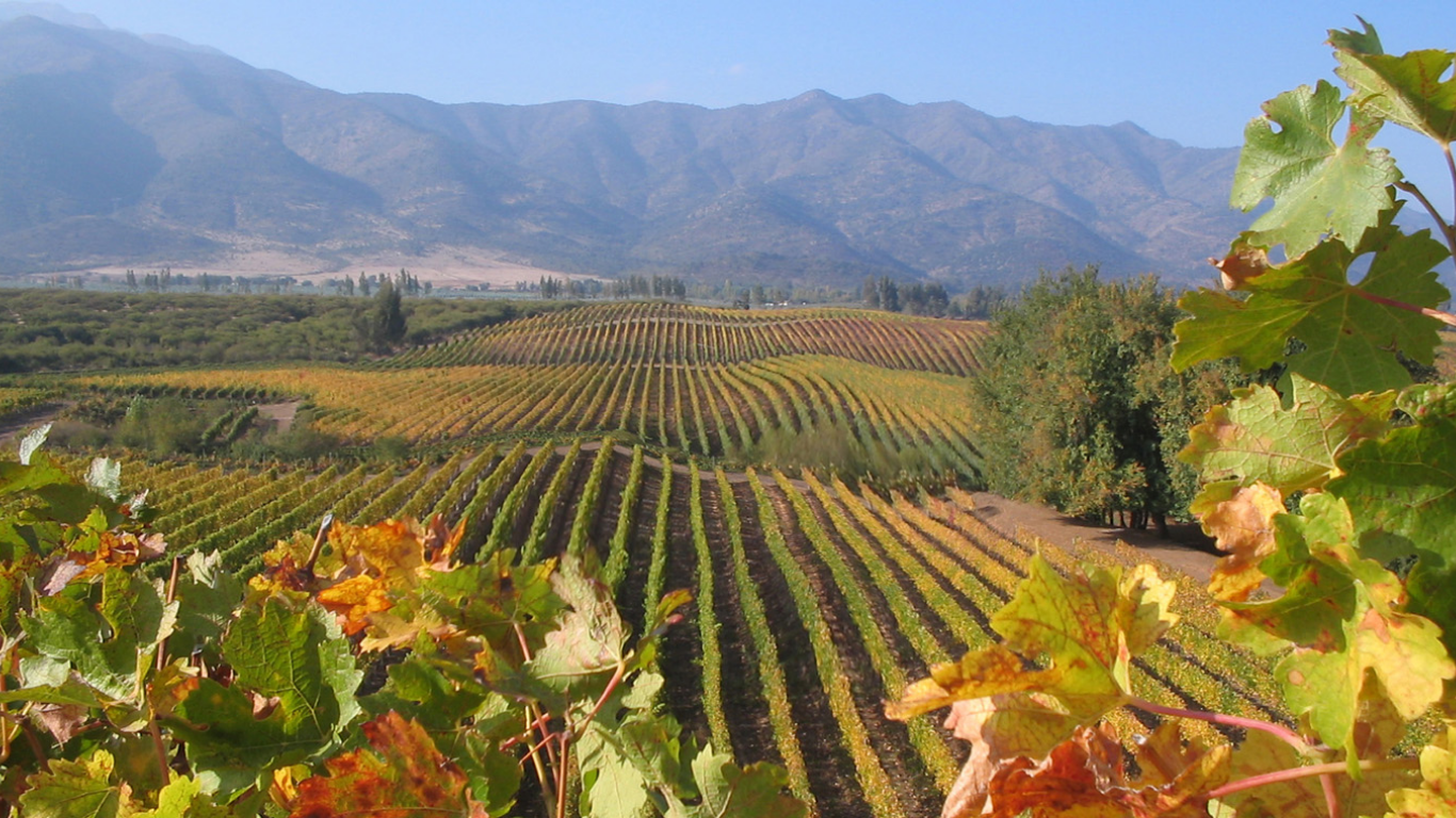 Colchagua Valley Chile Wine Without the Crowds
